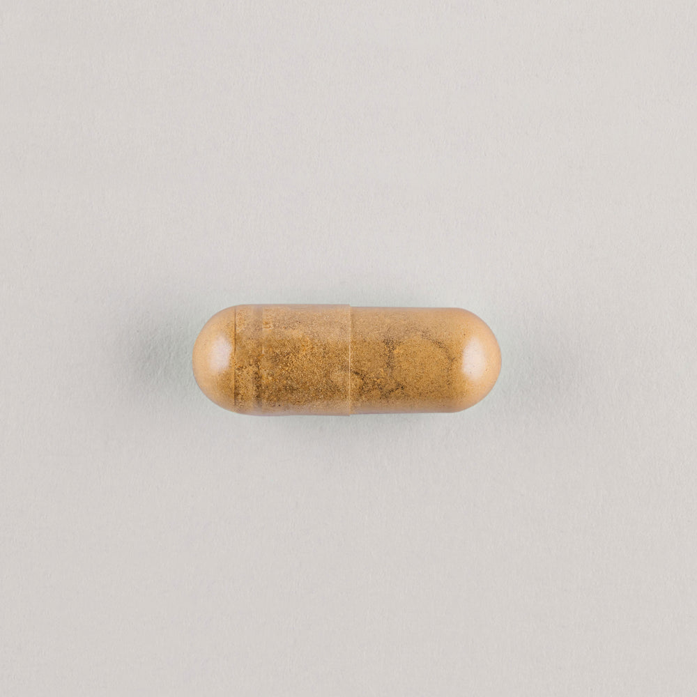 Ashwagandha / 540mg / 30 Day Supply - Nutraceutical No. 40