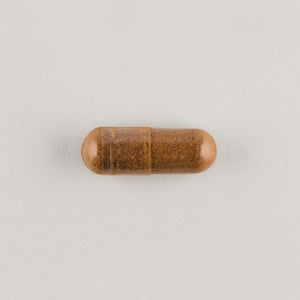 Cordyceps / 1200mg / 30 Day Supply - Nutraceutical No. 70